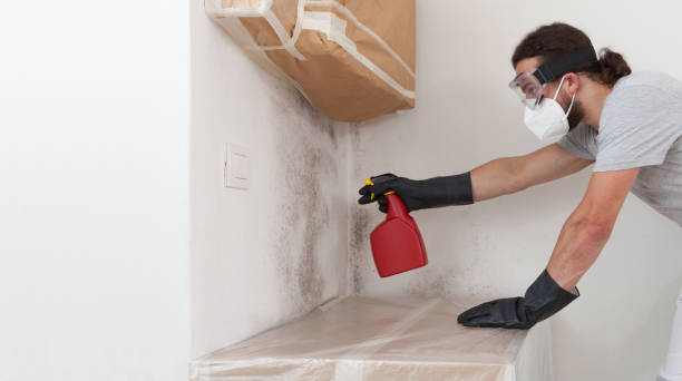 Professional Crawl Space Mold Removal technician working in Alanson, MI