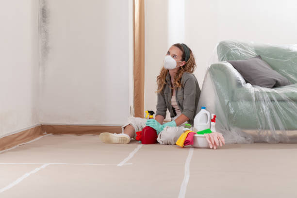 Reliable Crawl Space Mold Removal contractor in Alanson, MI by WQB Mold Removal